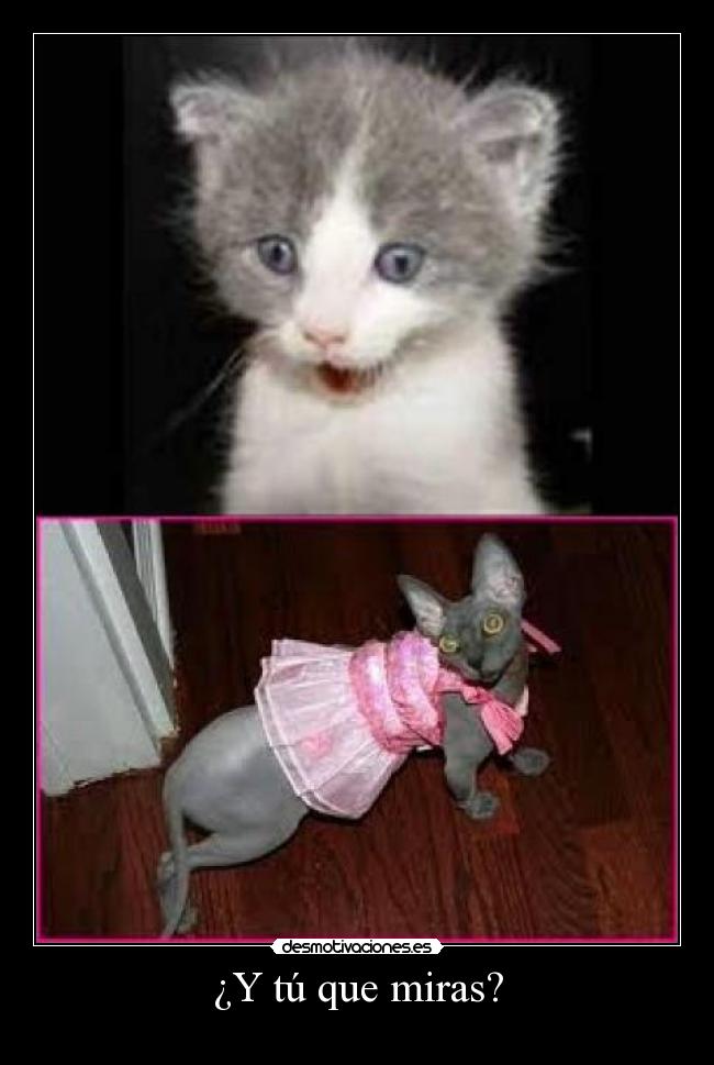 ¿Y tú que miras? -