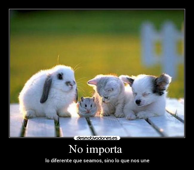 No importa - lo diferente que seamos, sino lo que nos une