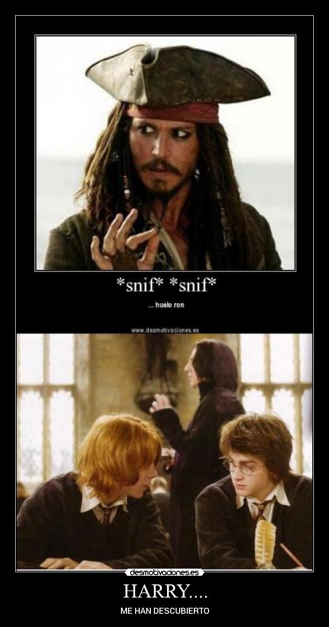 HARRY.... - ME HAN DESCUBIERTO