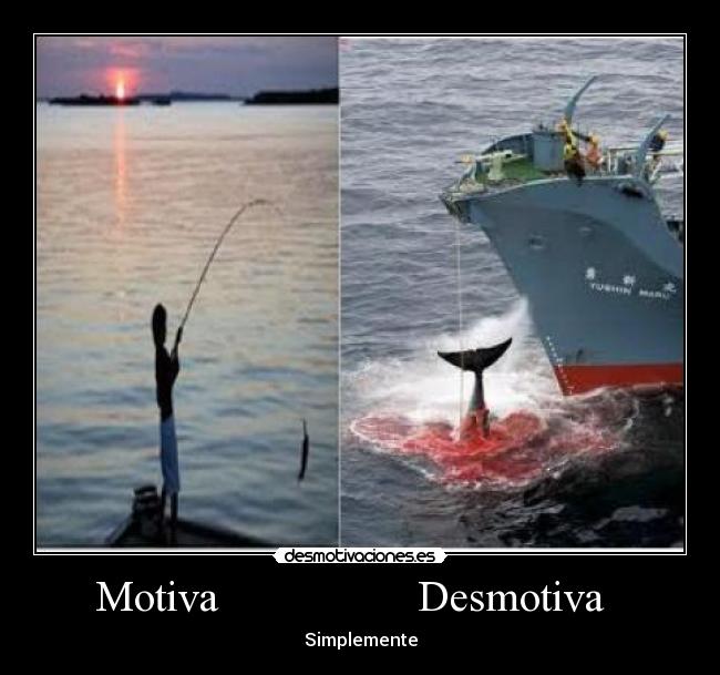 Motiva                  Desmotiva   - 