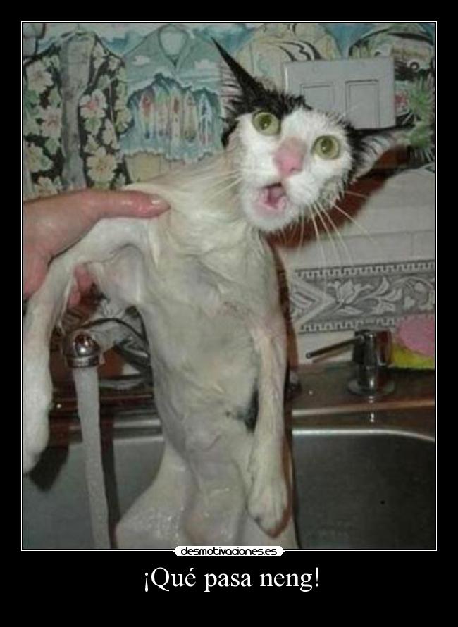 ¡Qué pasa neng! -