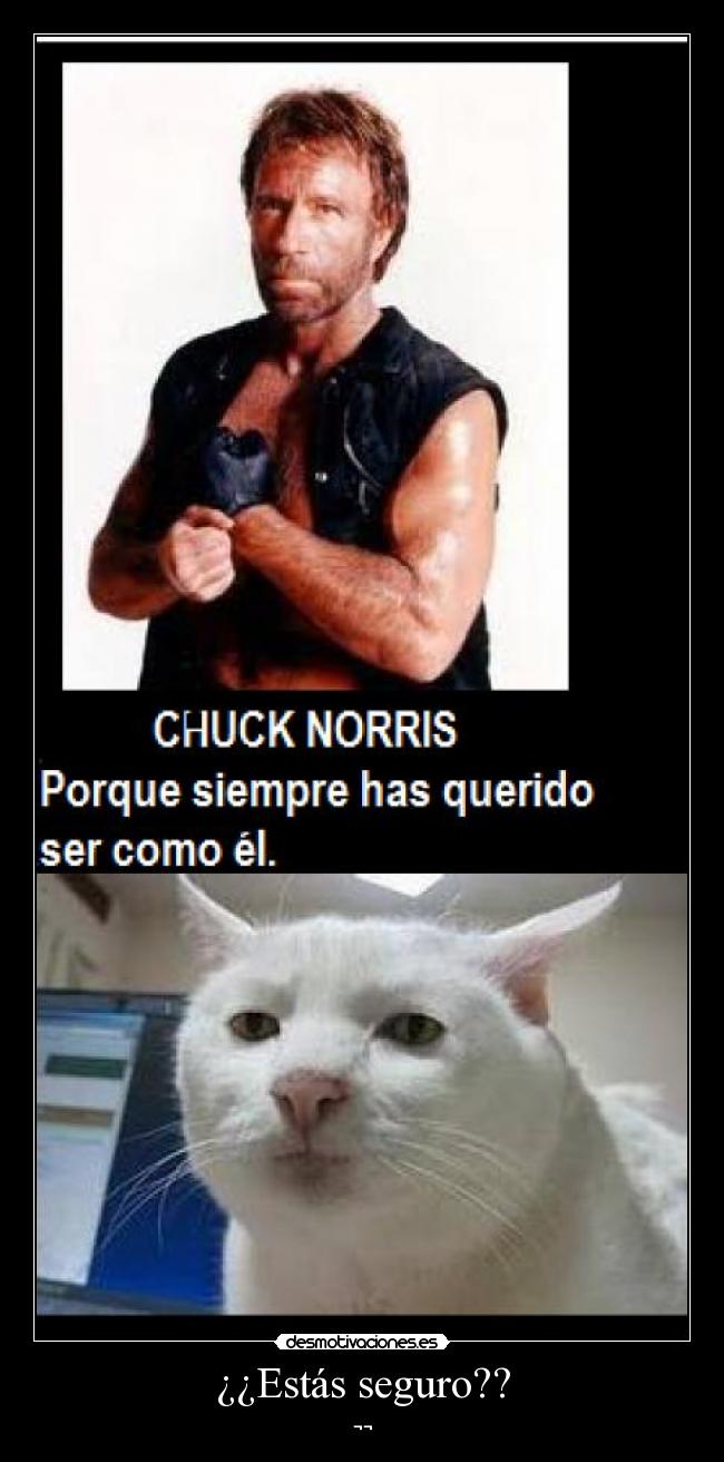 ¿¿Estás seguro?? - ¬¬