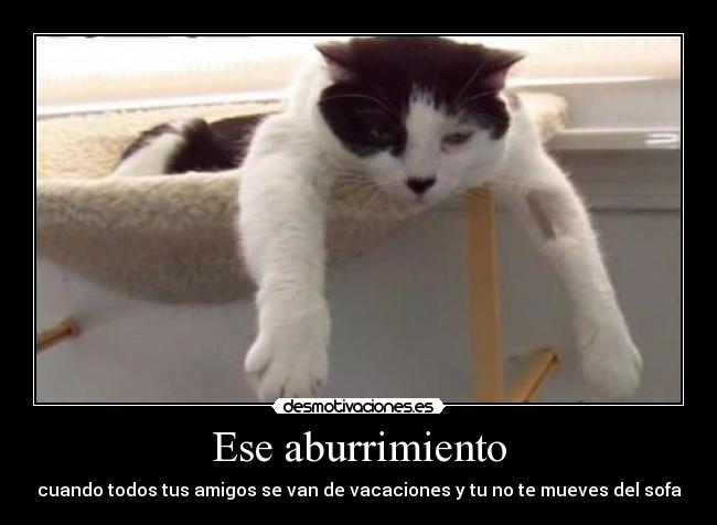 Ese aburrimiento - 