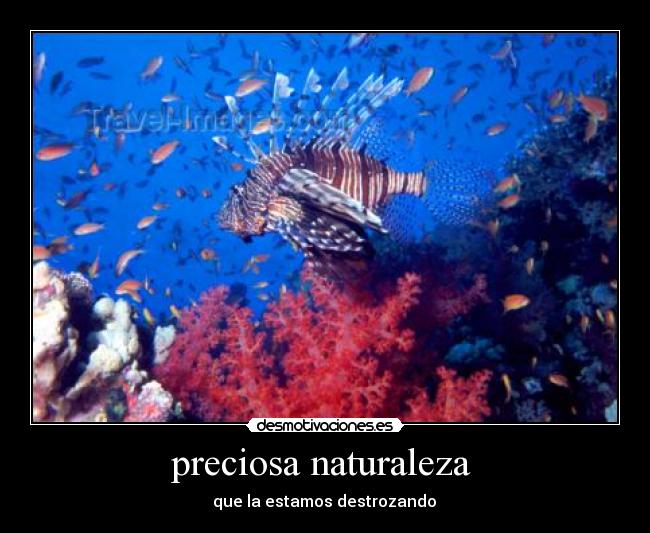 preciosa naturaleza -