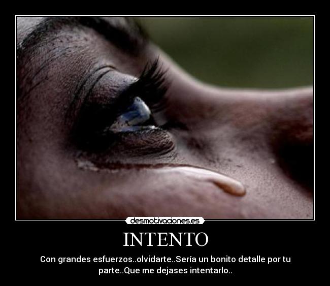 INTENTO - 