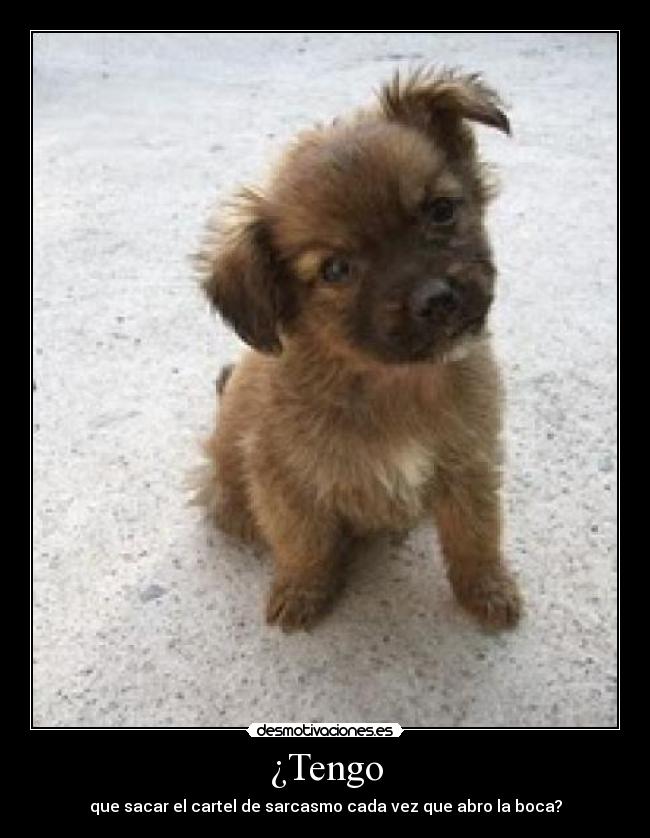 ¿Tengo - que sacar el cartel de sarcasmo cada vez que abro la boca?