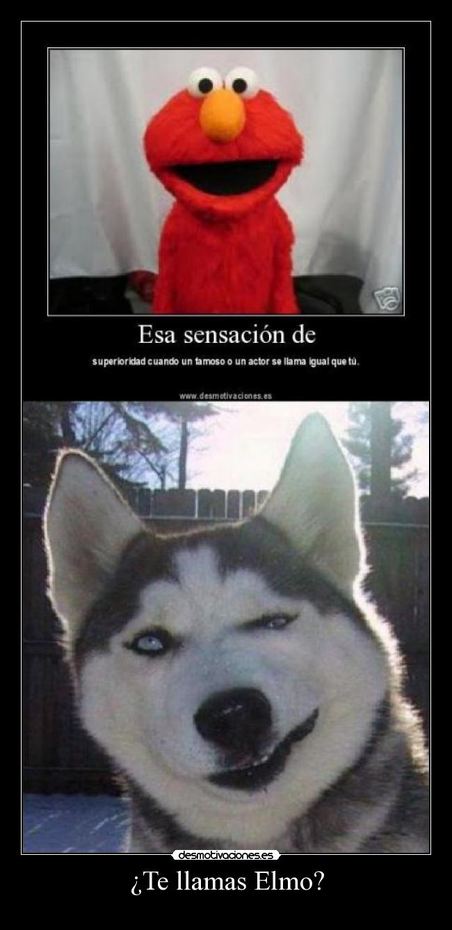 ¿Te llamas Elmo? -