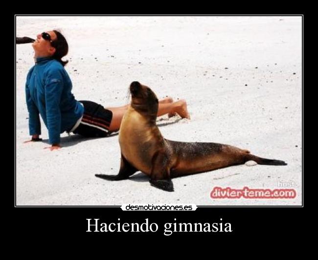 Haciendo gimnasia - 