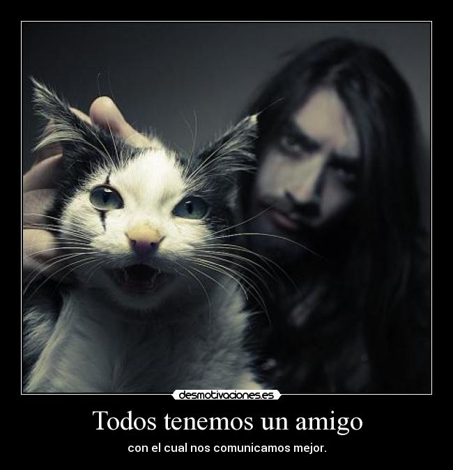 Todos tenemos un amigo -