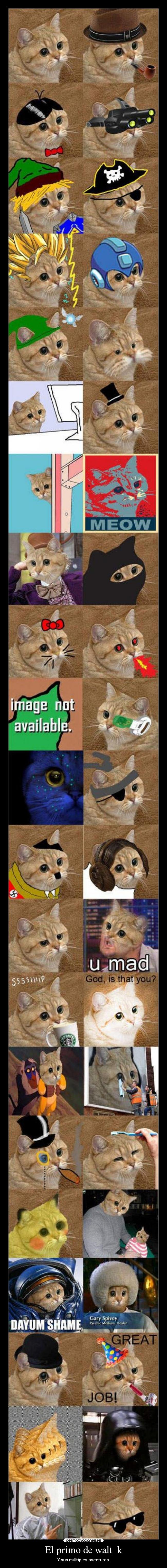 El primo de walt_k -