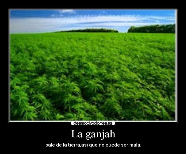 La ganjah -