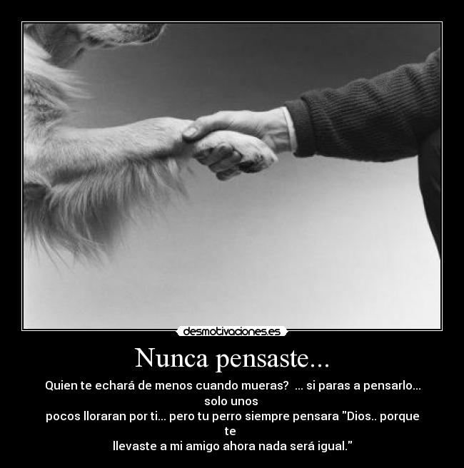 carteles perro fielidad desmotivaciones