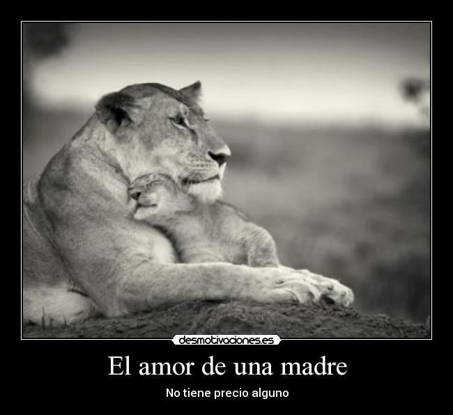 El amor de una madre - 