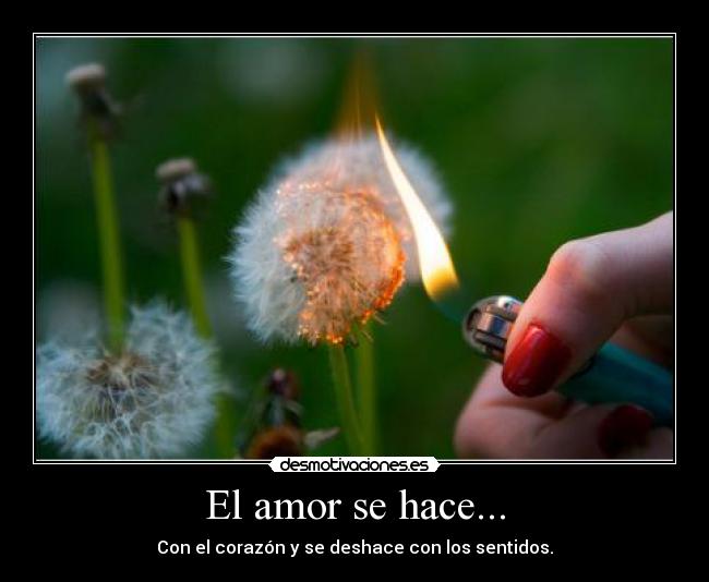 El amor se hace... -