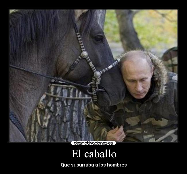 carteles caballo nazi pone loco pastillita acabo cagar caballo somos los mejores desmotivaciones