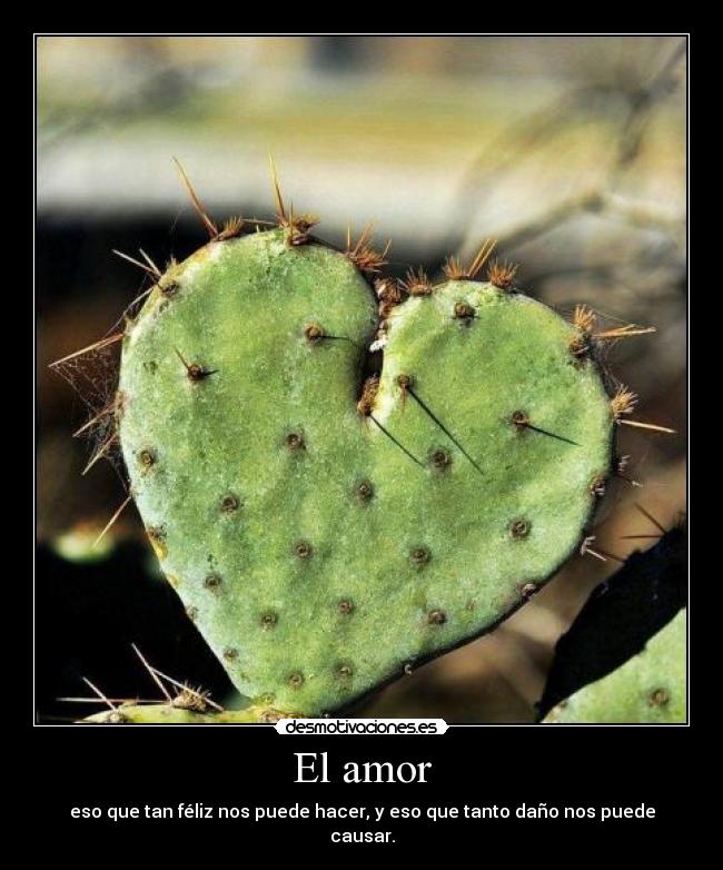 El amor -