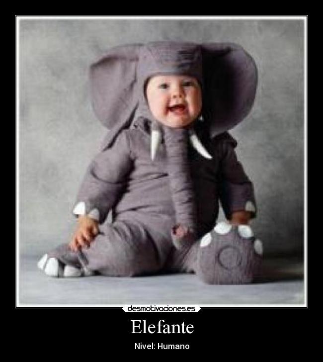 Elefante - Nivel: Humano