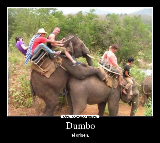 Dumbo - 