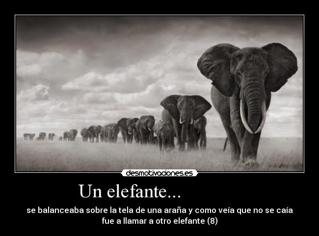 Un elefante... -