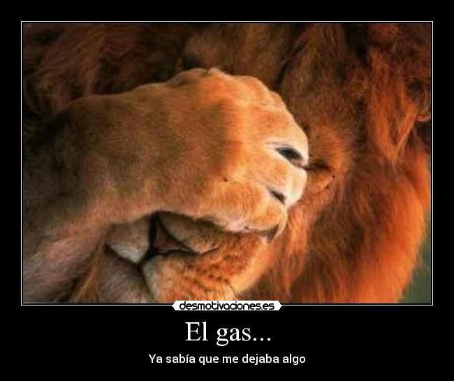 El gas... - Ya sabía que me dejaba algo