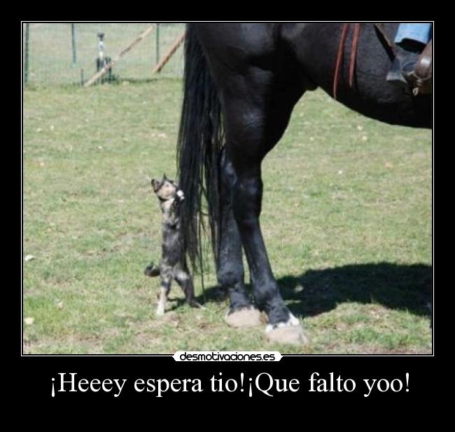 ¡Heeey espera tio!¡Que falto yoo! - 