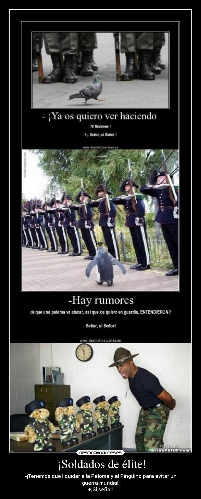 ¡Soldados de élite! -