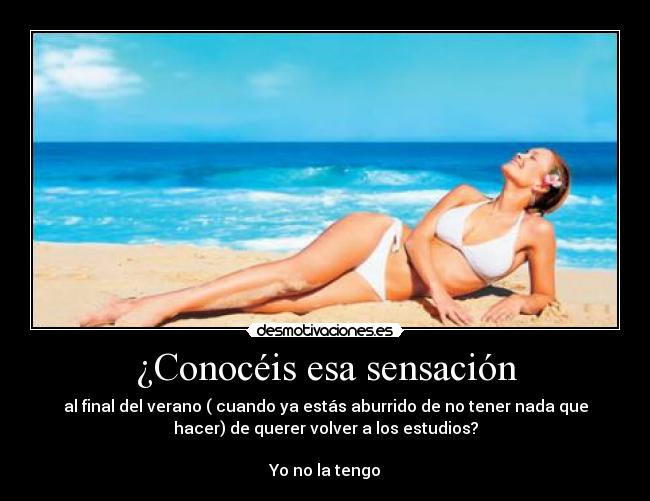 carteles volver los estudios desmotivaciones