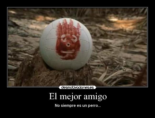 El mejor amigo - No siempre es un perro...