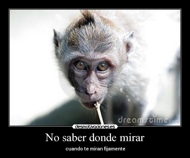 No saber donde mirar - 