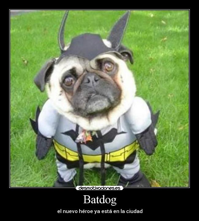 Batdog -