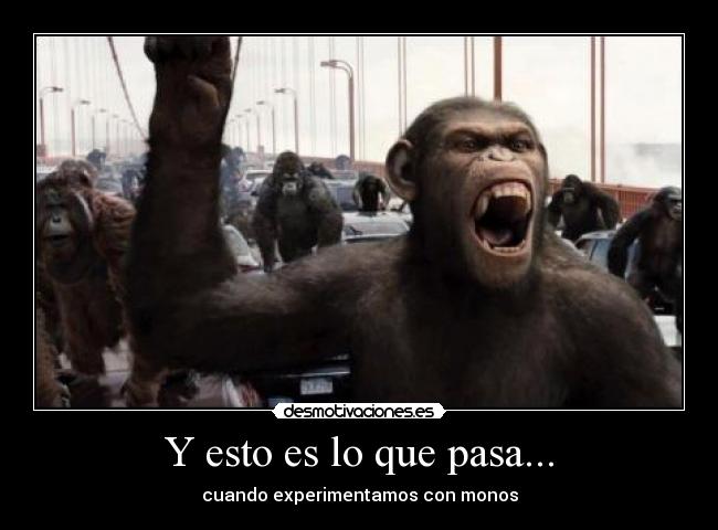 Y esto es lo que pasa... -