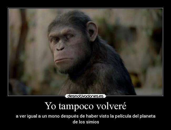 Yo tampoco volveré - a ver igual a un mono después de haber visto la película del planeta de los simios