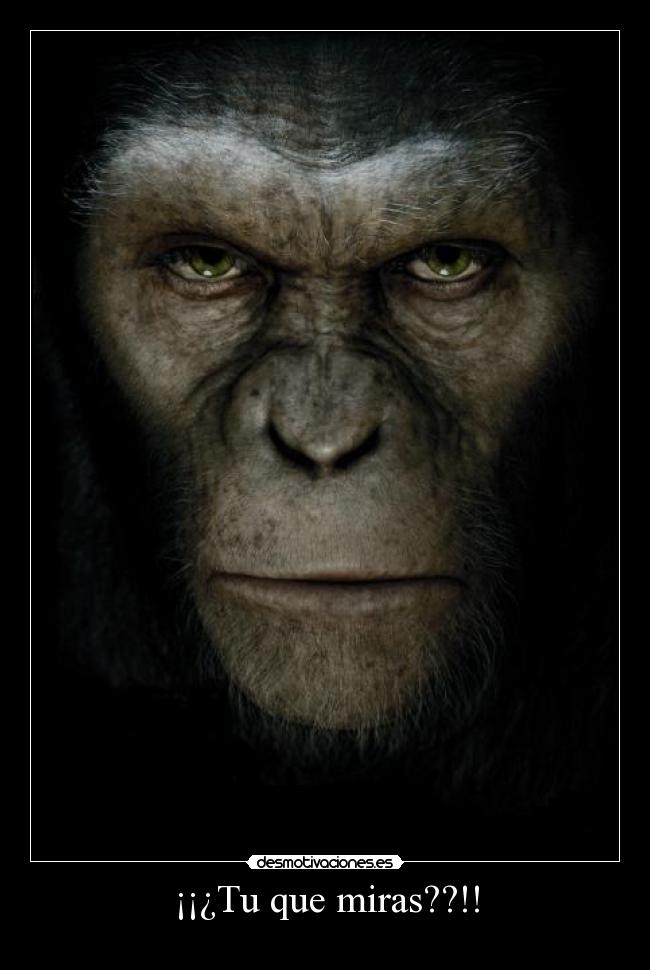 ¡¡¿Tu que miras??!! - 