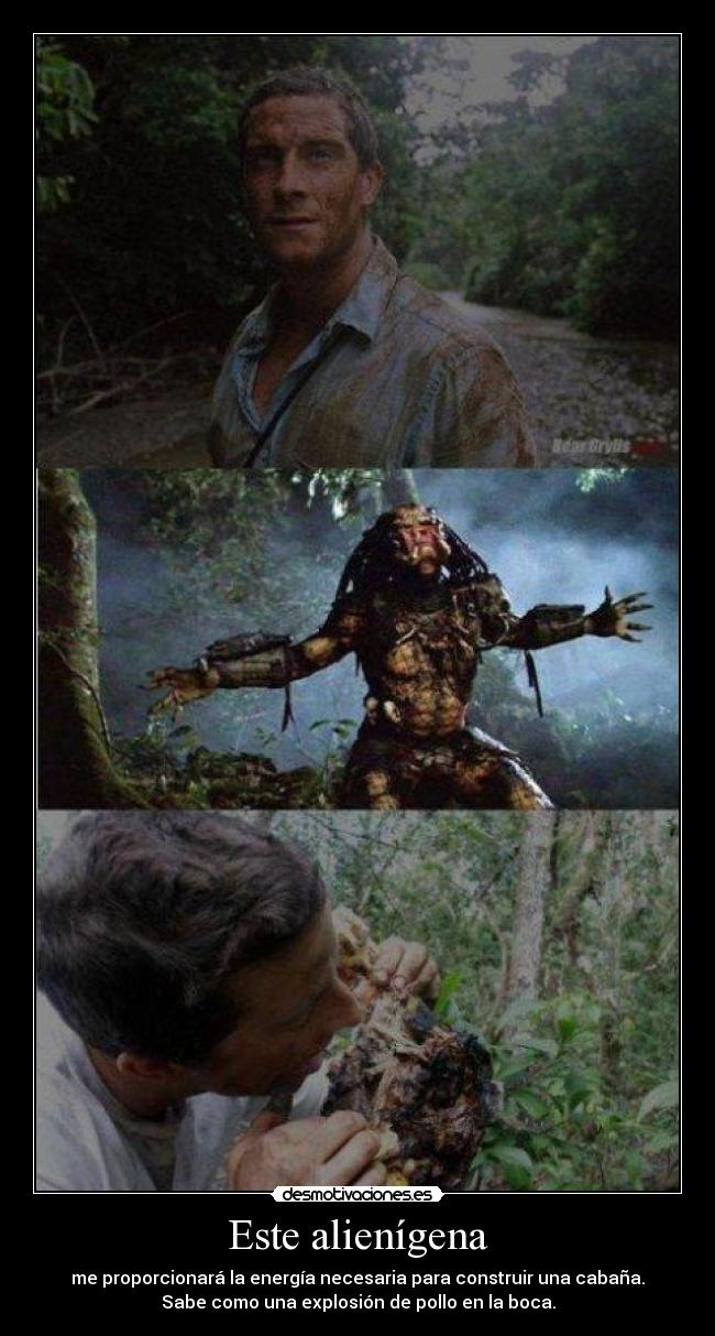 Este alienígena - me proporcionará la energía necesaria para construir una cabaña.
Sabe como una explosión de pollo en la boca.