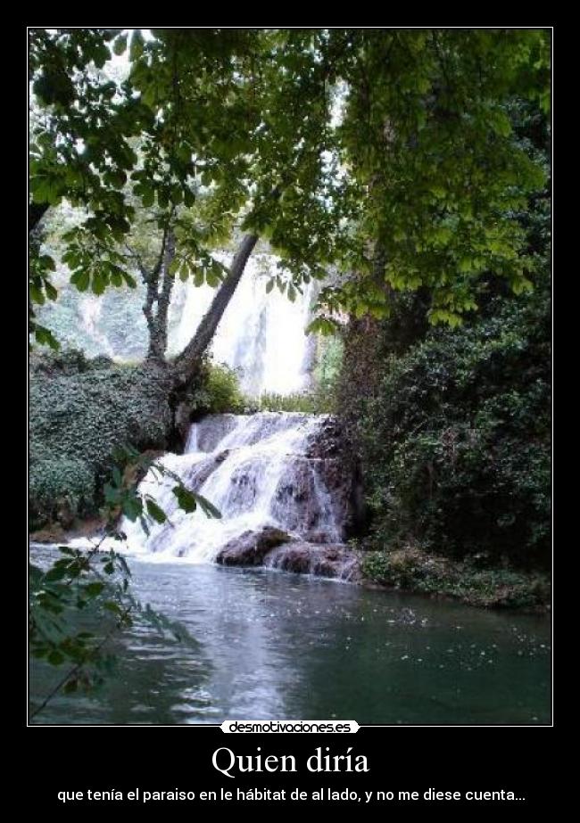 Quien diría - que tenía el paraiso en le hábitat de al lado, y no me diese cuenta...