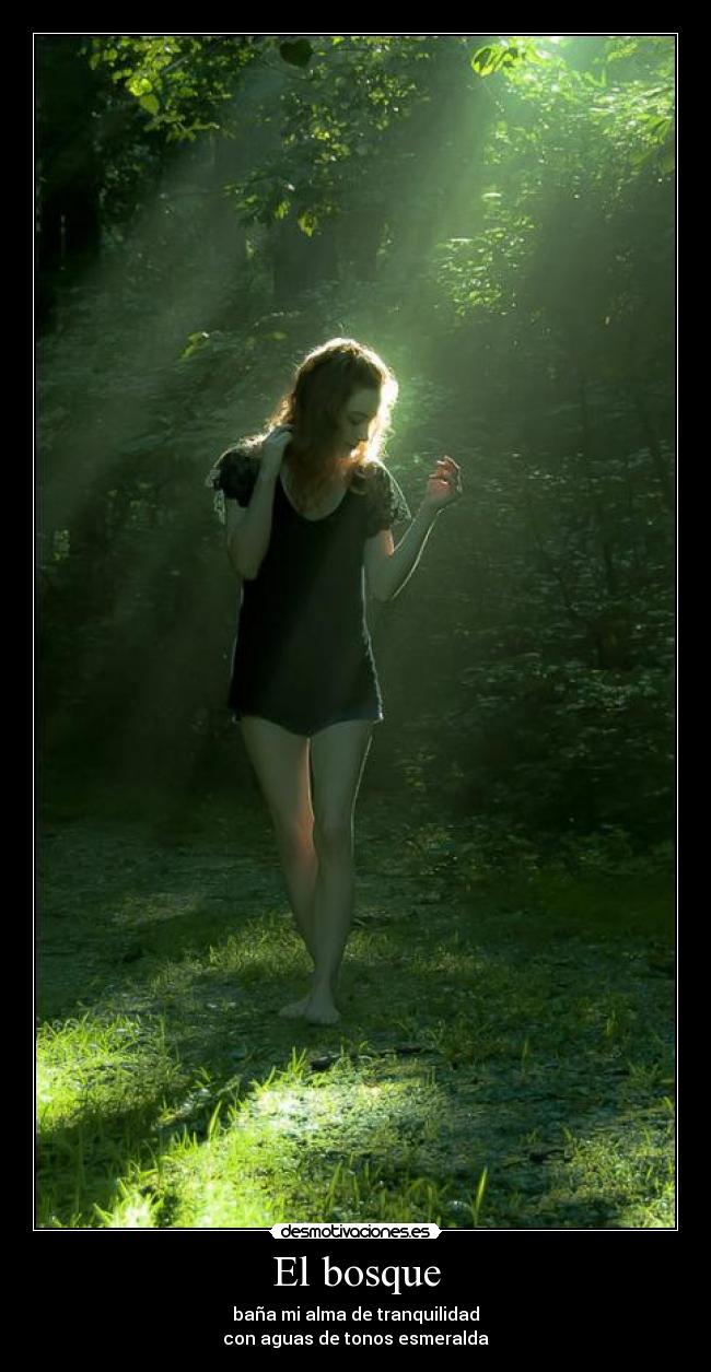 El bosque -