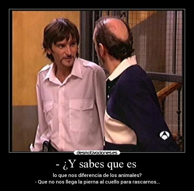 - ¿Y sabes que es  - 