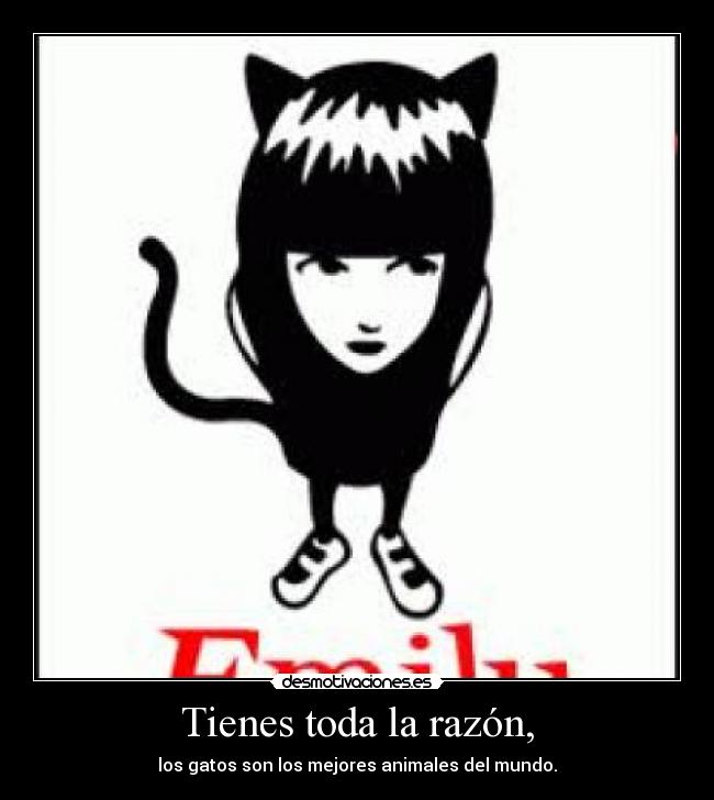 Tienes toda la razón, - los gatos son los mejores animales del mundo.