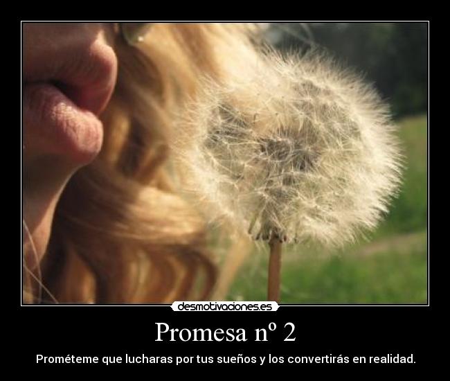 Promesa nº 2 - 