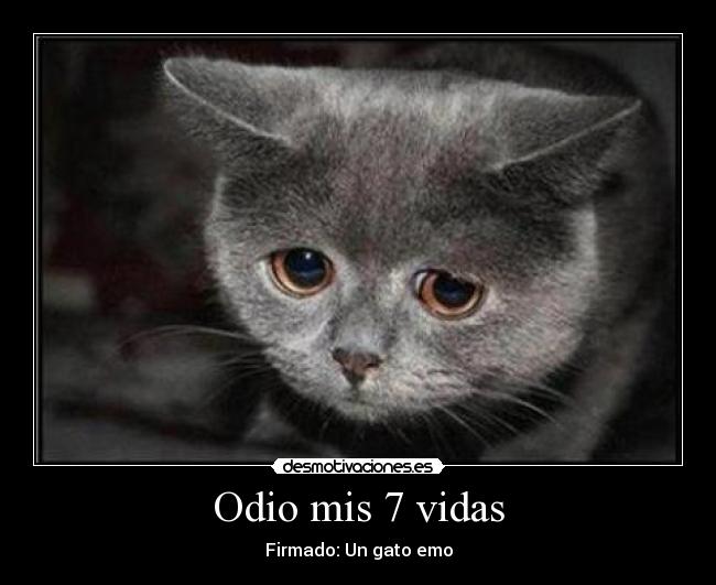 Odio mis 7 vidas -