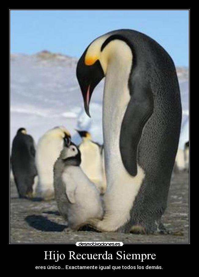 Hijo Recuerda Siempre - eres único... Exactamente igual que todos los demás.
