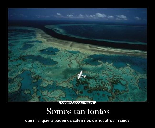 Somos tan tontos -