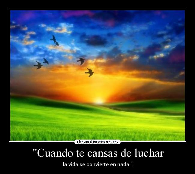 carteles cuando cansas luchar vida convierte nada desmotivaciones