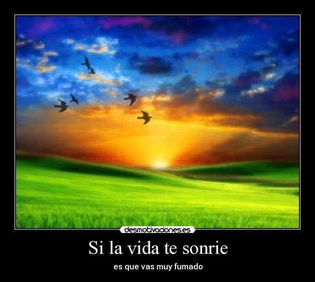 Si la vida te sonrie - es que vas muy fumado
