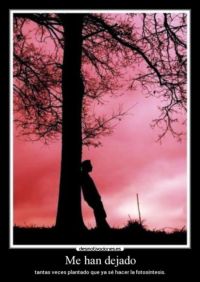 Me han dejado - 