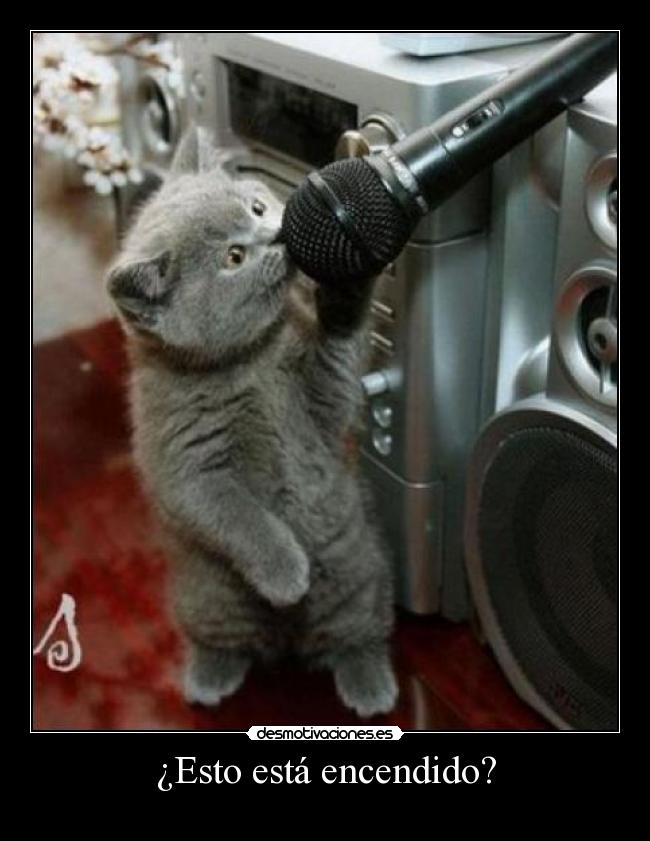 ¿Esto está encendido? -