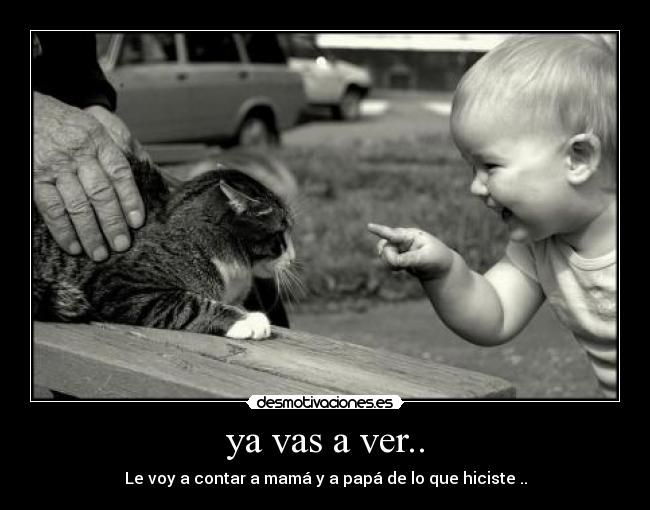 ya vas a ver.. carteles tu vieja en tanga desmotivaciones