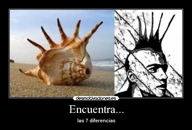 Encuentra... - las 7 diferencias