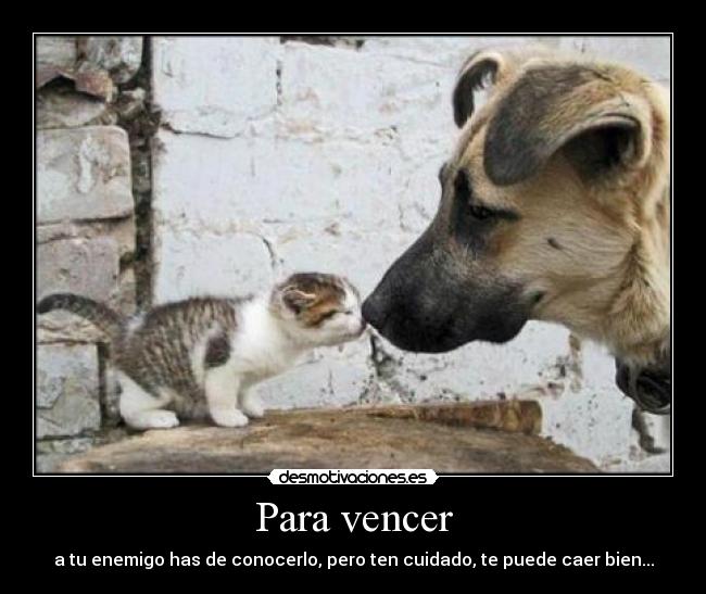 Para vencer - 