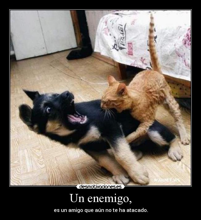 Un enemigo, - es un amigo que aún no te ha atacado.